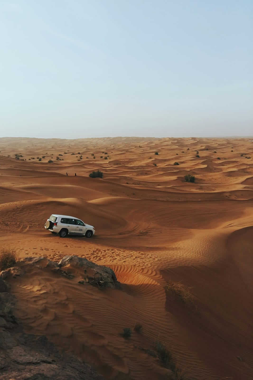 Dune Bashing Dubai